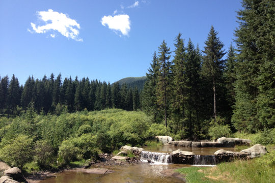 Photo: Forestland under the Natural Forest Protection Program Source: Authors’ fieldwork.  