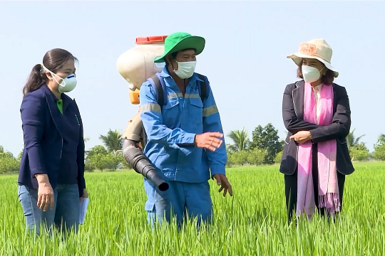 Rice farmers and researchers