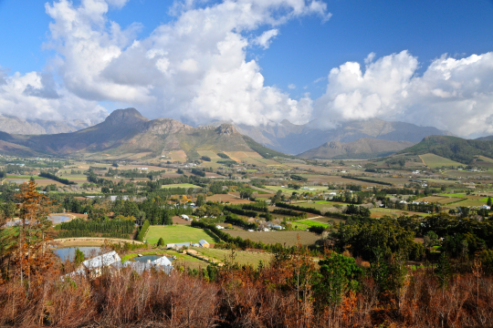 Landscape shot of Western Cape land