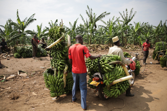 Uganda Village