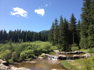 Photo: Forestland under the Natural Forest Protection Program Source: Authors’ fieldwork.  