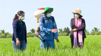 Rice farmers and researchers