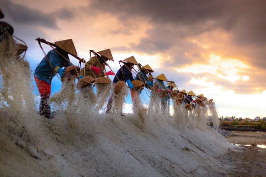 Vietnamese salt workers